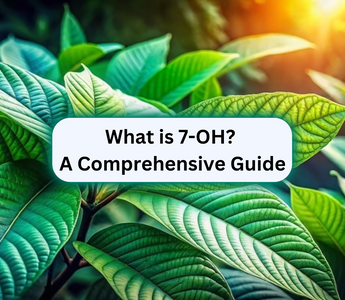 What is 7-OH? A Comprehensive Guide