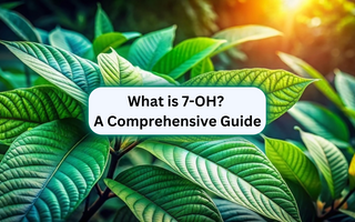 What is 7-OH? A Comprehensive Guide